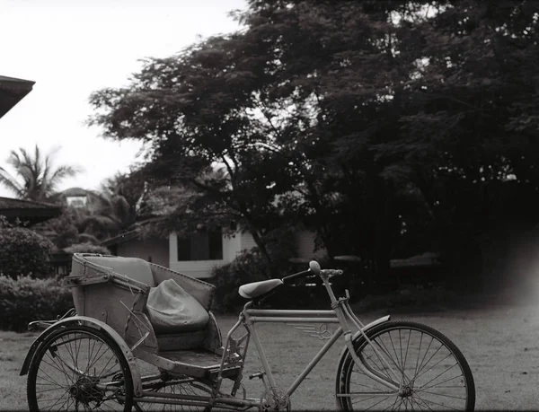 bahçede üç tekerlekli bisiklet aldı