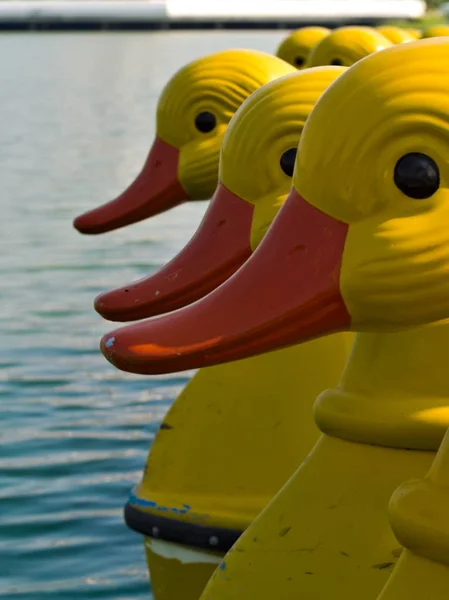 The yellow duck, water bike on the lake