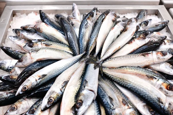 kutusunda satılık balıklar