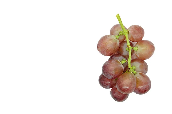 kırmızı üzüm izole beyaz arka plan