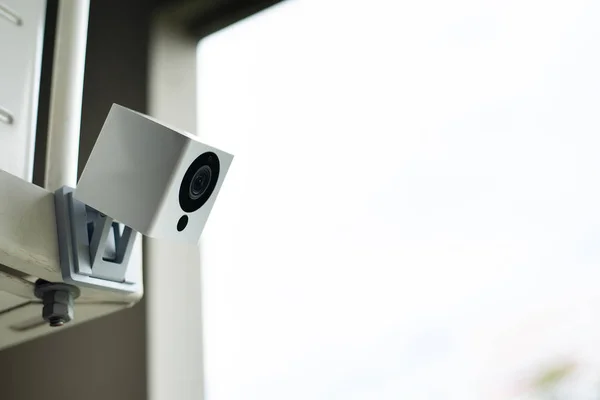 Güvenlik Kamerası bahçeyi izliyor