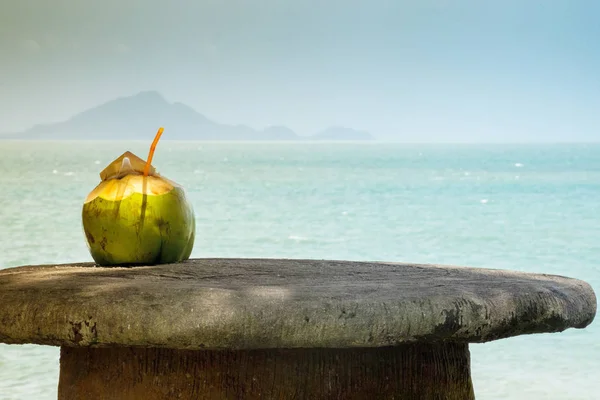 Hindistan cevizi gökyüzüne karşı.