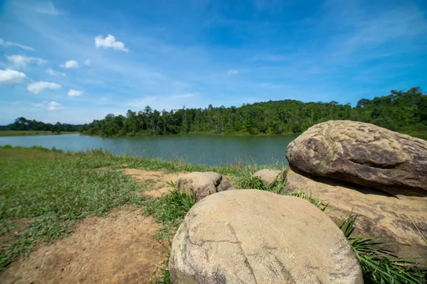 Yeşil arazide ve nehirde büyük bir taş