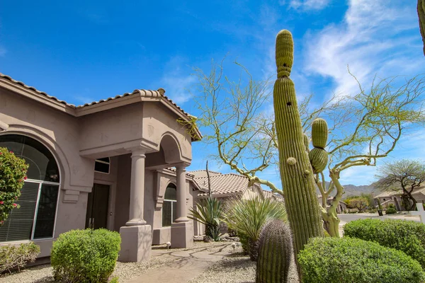 South West Style Arizona Domu Saguaro — Zdjęcie stockowe