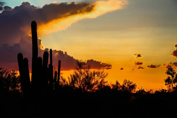 Orange Scottsdale Arizona Sunset — Foto de Stock