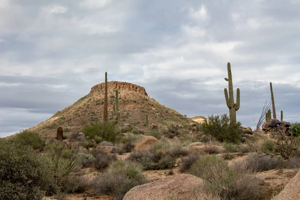 Arizona landscape before a monsoon storm