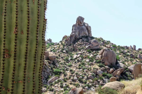 Saguaro and boulders on the Tom\'s Thumb hiking trail