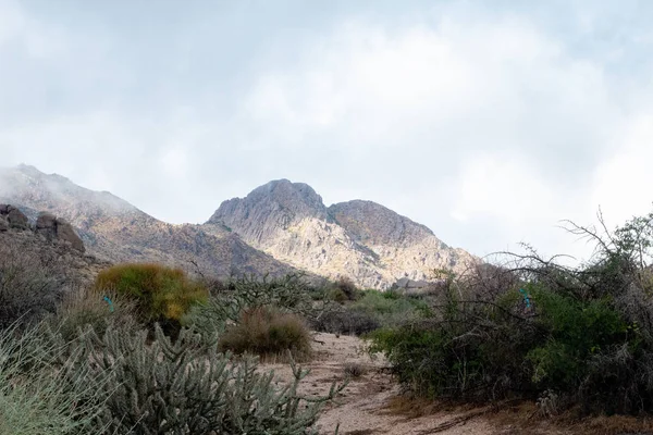 Mcdowell Mountains Scottsdale Arizona — Stock Photo, Image