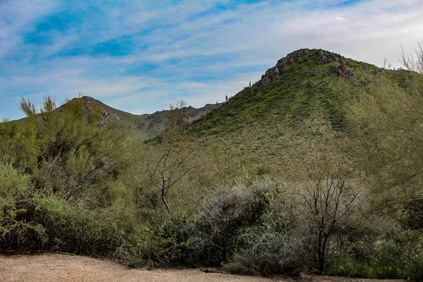 Zöld Hegyek Észak Scottsdale Arizona — Stock Fotó