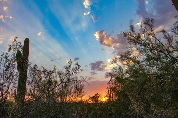 Puesta Sol Scottsdale Con Explosiones Sol — Foto de Stock