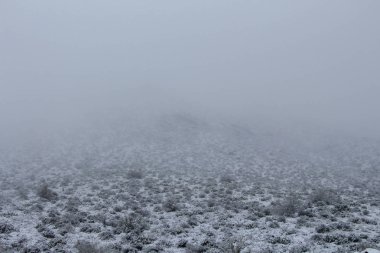 Fırtınadan sonra Kuzey Scottsdale'de karla kaplı dağ