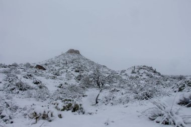 Scottsdale Arizona'da karla kaplı manzara
