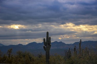 Fountain Hills Arizona'da kara bulutlar