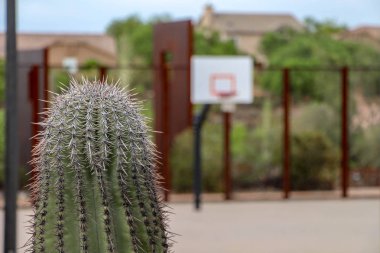 Scottsdale, Arizona / Abd 19 Mayıs 2019: George Cavalliere Park