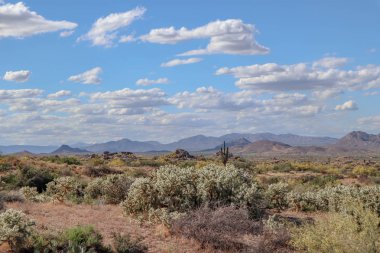 Erken ilkbaharda Scottsdale çöl