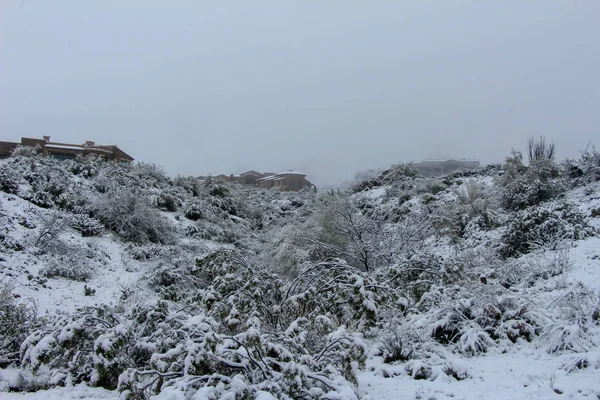 View Snow Covered Scottsdale Arizona Homes — Stock Photo, Image