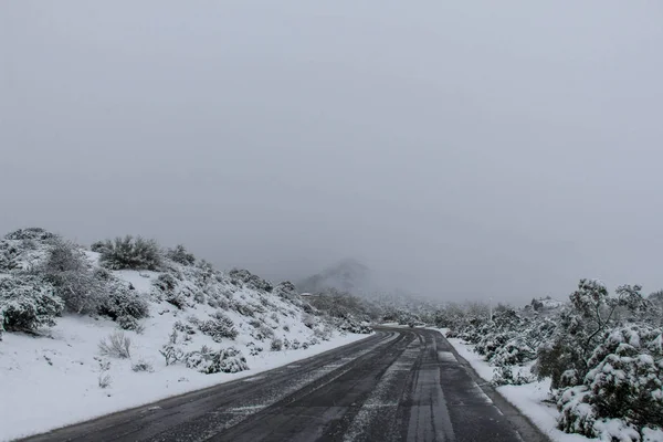 Alameda Carretera Norte Scottsdale Arizona Después Una Tormenta Nieve — Foto de Stock