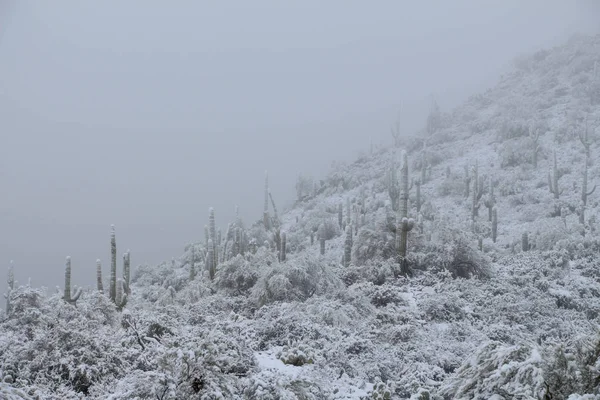 Lado Una Montaña Scottsdale Arizona Cubierto Nieve — Foto de Stock