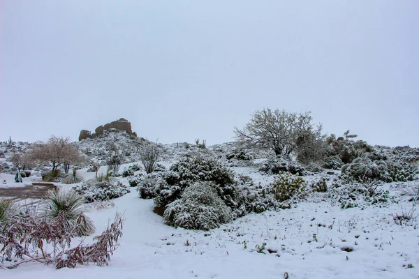 Scottsdale Paisaje Después Una Tormenta Nieve — Foto de Stock