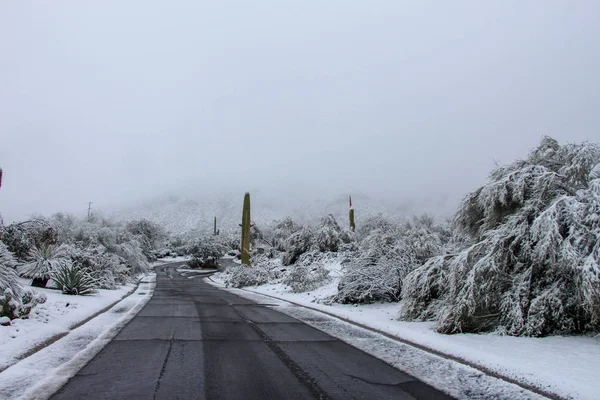 Camino Norte Scottsdale Después Una Tormenta Invierno — Foto de Stock