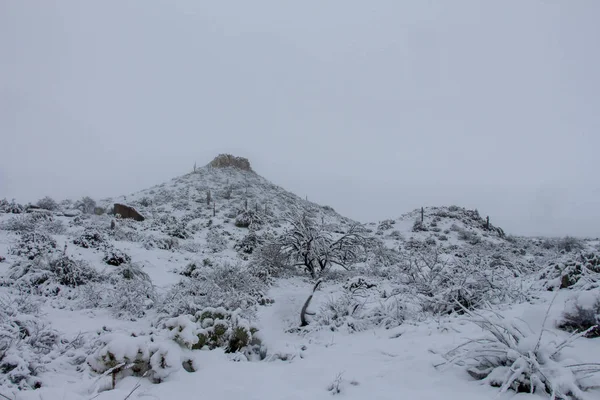 Paisaje Cubierto Nieve Scottsdale Arizona — Foto de Stock