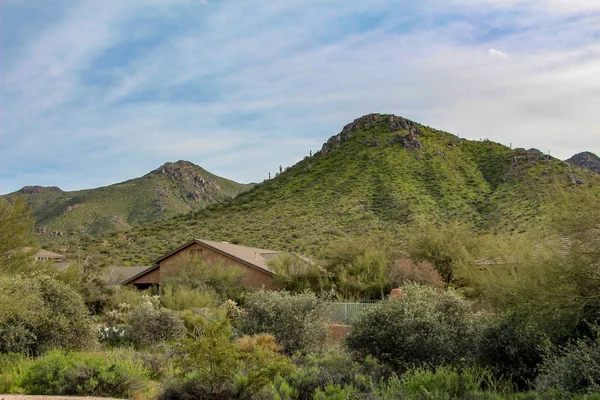 North Scottsdale Homes Lush Green Mountains — Stock Photo, Image