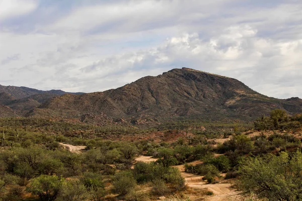 Great Western Trail Tonto National Forest Arizona Route — Stock Photo, Image