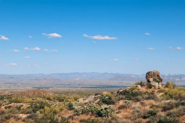 Vista Las Montañas Desierto Sonora Arizona — Foto de Stock