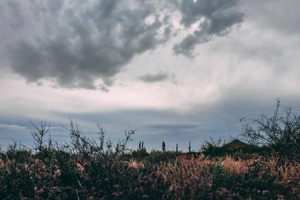 The Scottsdale desert on a gloomy day before a storm