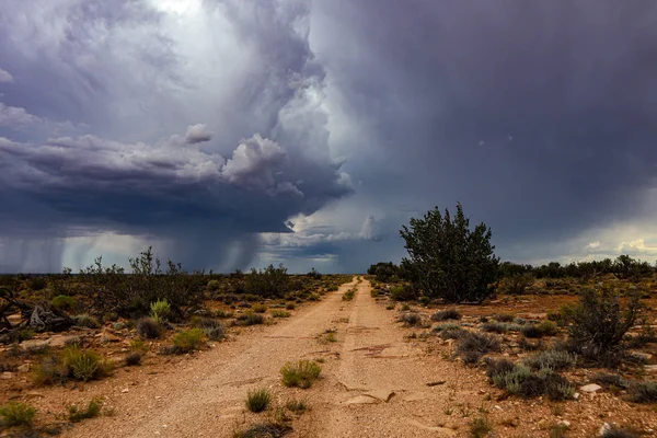 Arizona dirt road leading to a monsoon storm
