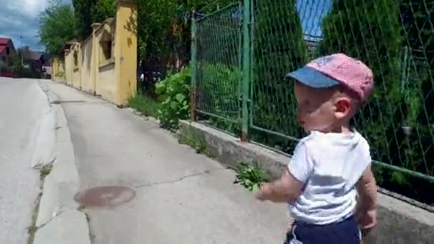 Χαριτωμένο δίχρονο αγόρι με καπέλο που περπατάει στην άκρη του δρόμου, κοντά — Αρχείο Βίντεο