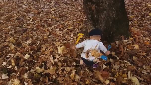 Φθινοπωρινή διασκέδαση για το μικρό αγόρι δύο ετών, παίζοντας με πεσμένα φύλλα στο πάρκο — Αρχείο Βίντεο