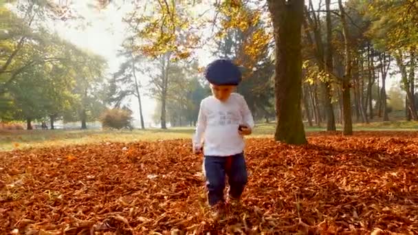 Liebenswerter zweijähriger Junge in der Natur im Herbst. Kind läuft in umgestürzten Blättern — Stockvideo