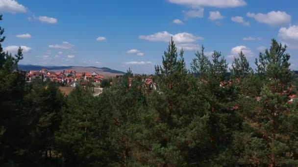 Aerial view over the pine forest reveals small mountain town. Zlatibor, Serbia — Stock Video