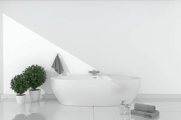 Bath room interior - beautiful bath with bright wall on ceramic