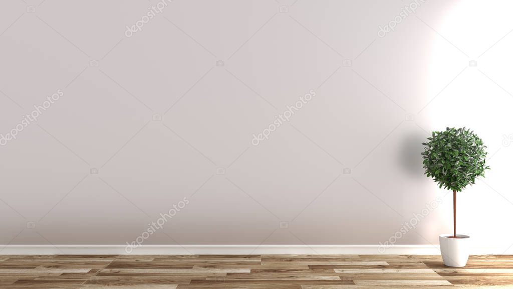 Empty room with plants on wooden floor, white wall background .3