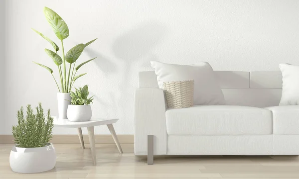 바닥에 흰색 소파와 장식 식물흰색 거실 — 스톡 사진