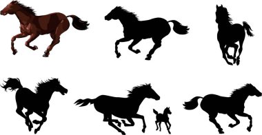 Horse animal silhouettes set. Vector graphics clipart
