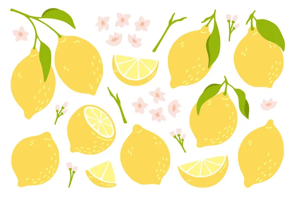 Ensemble de citrons frais entiers, coupés en deux, coupés en morceaux. Collection d'agrumes avec écorce de citron, fleurs et feuilles dessinées à la main. Illustration vectorielle isolée sur fond blanc. — Image vectorielle