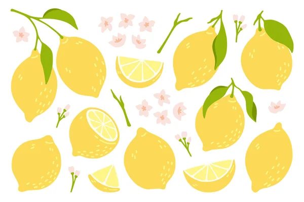 Celá sada, rozříznutá na půl, nakrájená na kousky čerstvých citronů. Kolekce citrusových plodů s citronovou slupkou, květy a listy v ručně kresleném stylu. Vektorové ilustrace izolované na bílém pozadí. Royalty Free Stock Vektory