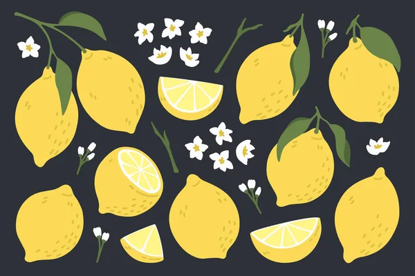 Ensemble de citrons frais entiers, coupés en deux, coupés en morceaux. Collection d'agrumes avec écorce de citron, fleurs et feuilles dessinées à la main. Illustration vectorielle isolée sur fond noir. — Image vectorielle