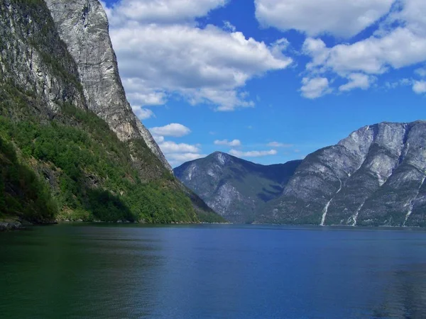 nature Norway summer. Water, forest fjord on a Sunny day