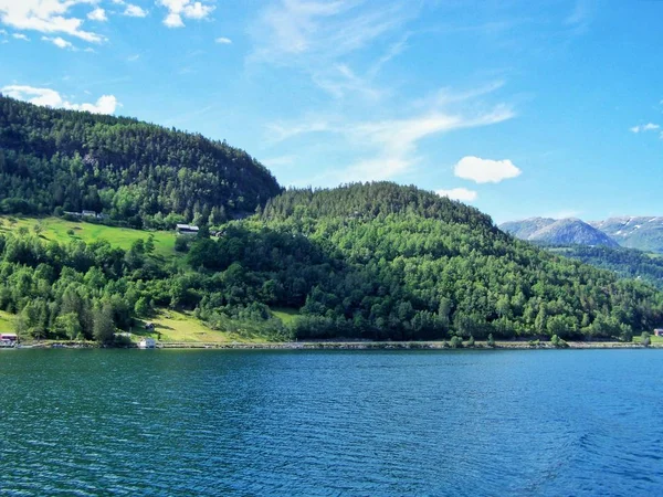 nature Norway summer. Water, forest fjord on a Sunny day