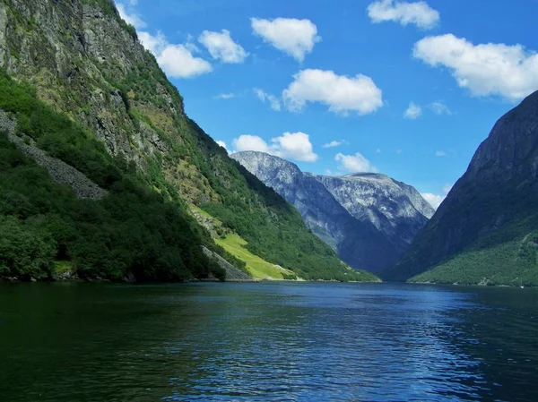 nature Norway summer. Water, forest fjord on a Sunny day