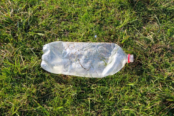 crushed plastic bottle on green grass