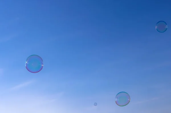 soap bubbles on blue  sky background