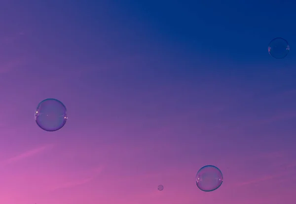 soap bubbles on blue and pink sky background