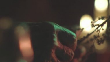 Bir yaşlı adam bitki çayı prepearing 