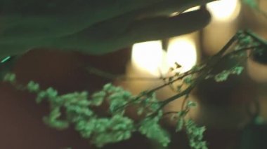 Bir yaşlı adam bitki çayı prepearing 