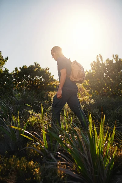 Man wandelen in het bos op zonnige dag — Stockfoto